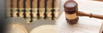 Stop Debt Collectors - Stop Bill Collectors 