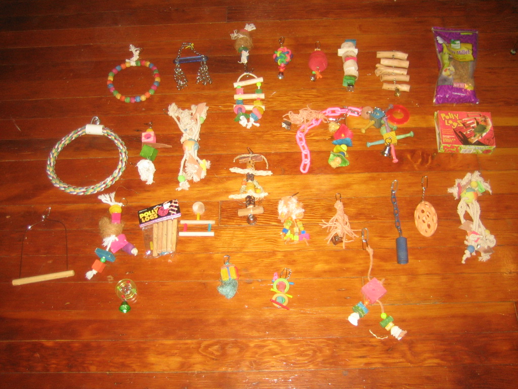 TONS of Bird Toys, Perches, DVD's, Books, Accessories >CHEAP<  (Hollywood)