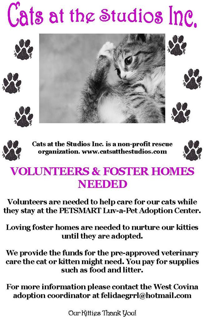 VOLUNTEERS AND FOSTER HOMES NEEDED (CATS, INC.) (West Covina)