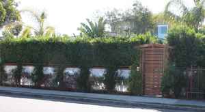 $2749 / 2br - BRAND NEW CONSTRUCTION (Venice) (map)